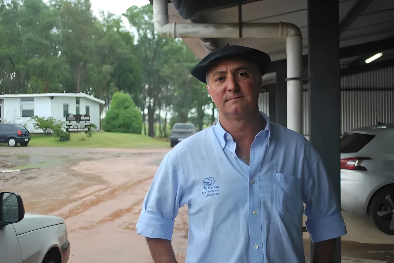 «No hay ninguna restricción técnica para combinar calidad de lana con buena producción de carne» en el merino