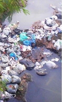 Latidos: En cualquier lado y más…