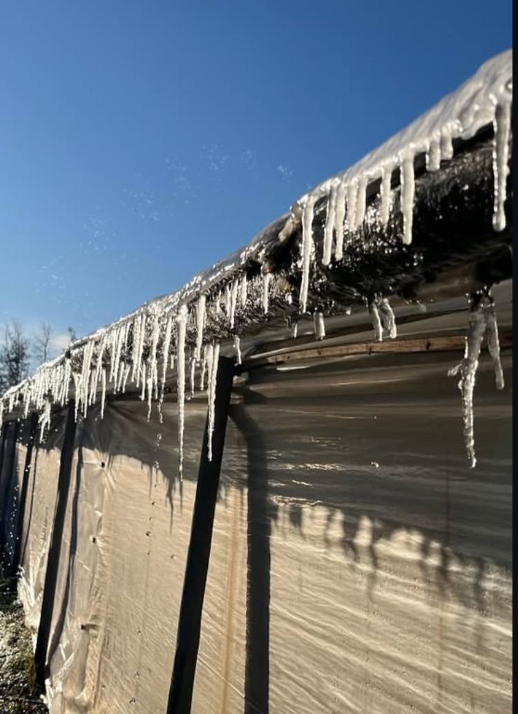 Último día de frío con  mínimas bajo 0 comienza  hoy a subir la temperatura
