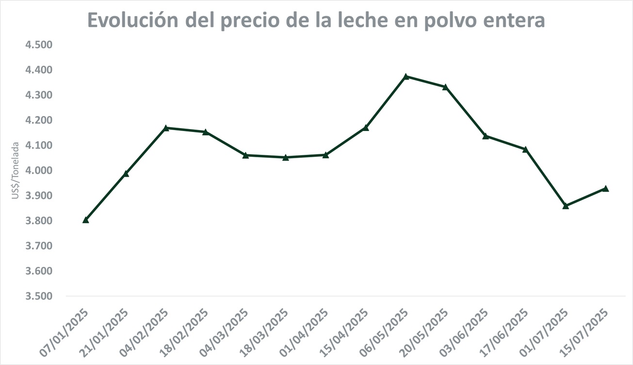 Segunda licitación de julio cortó la racha bajista de los lácteos