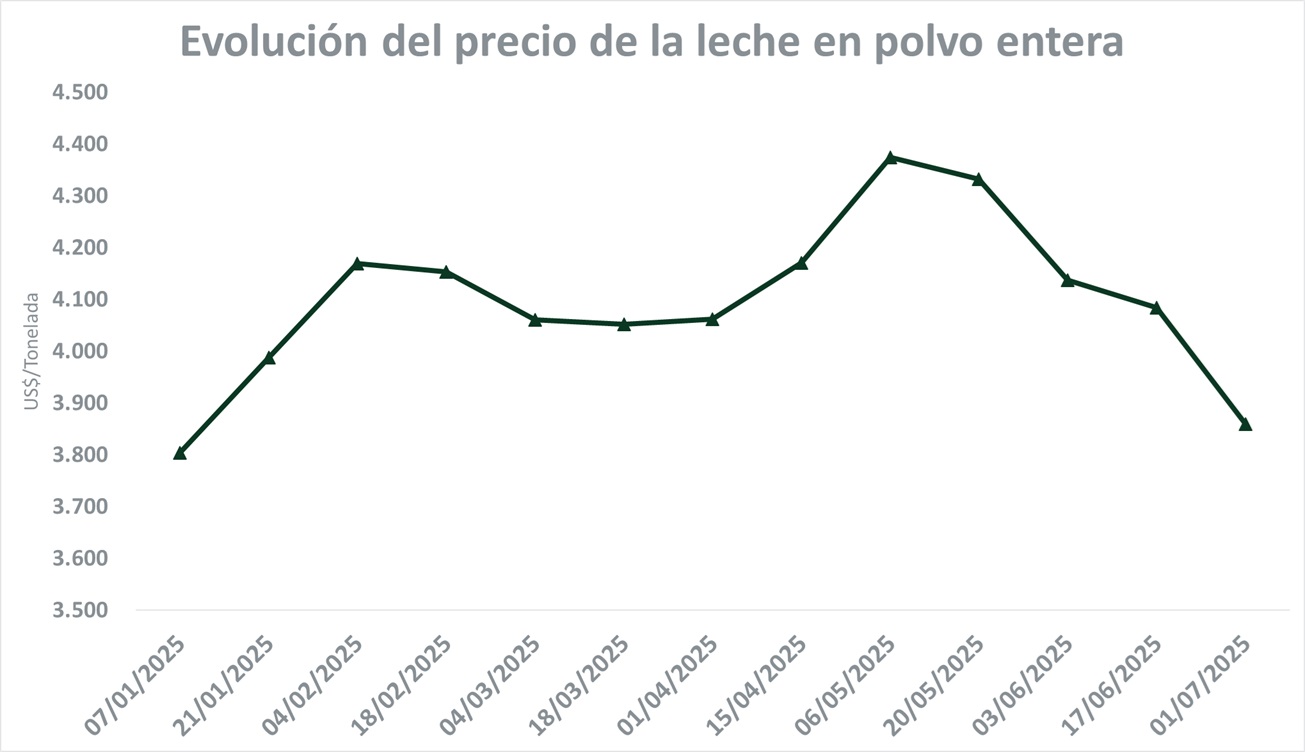 Fuerte retroceso en los valores de los lácteos tras suba en la oferta en GDT