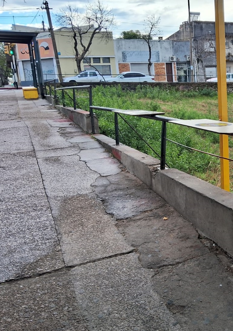Latidos: Ingenio y creatividad y más…