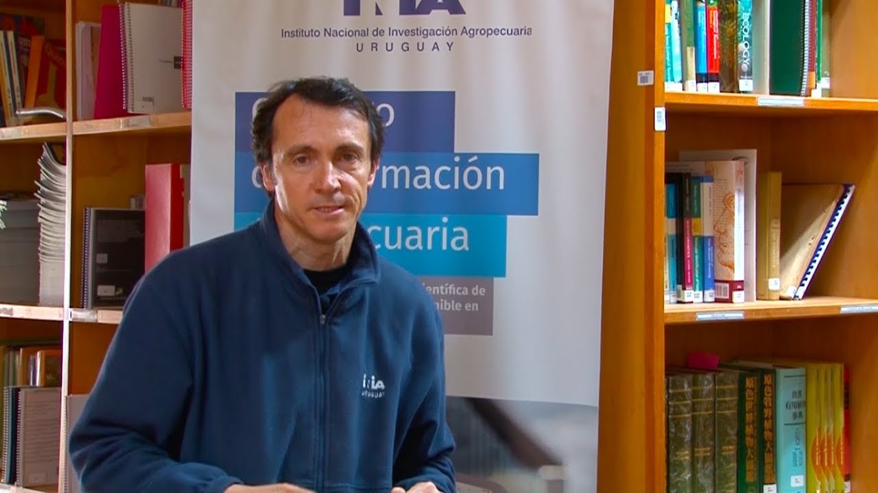 Se necesitan dos semanas con temperaturas de 20 grados para normalizar el campo natural