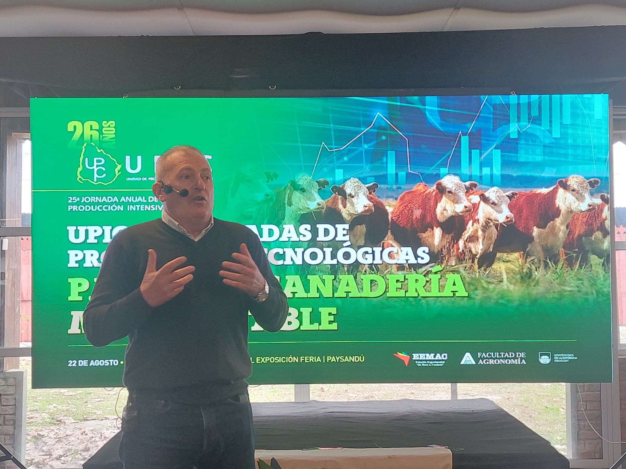 Corral sin fibra: claves del nuevo paradigma en alimentación intensiva