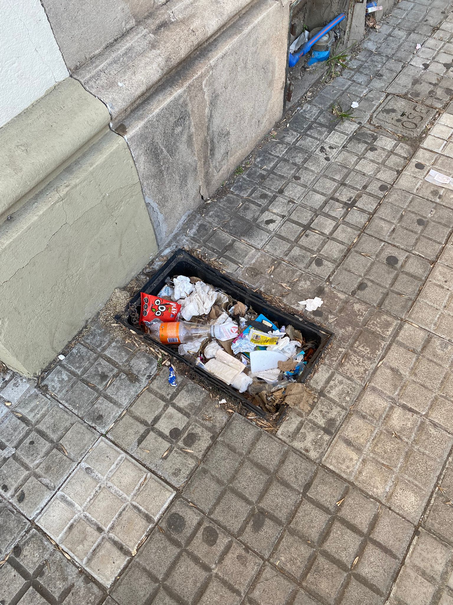 Latidos: Oportuno y más…