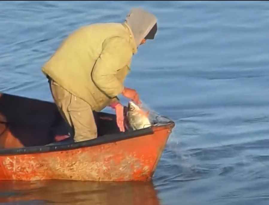 Lucha diaria de los pescadores artesanales de Salto