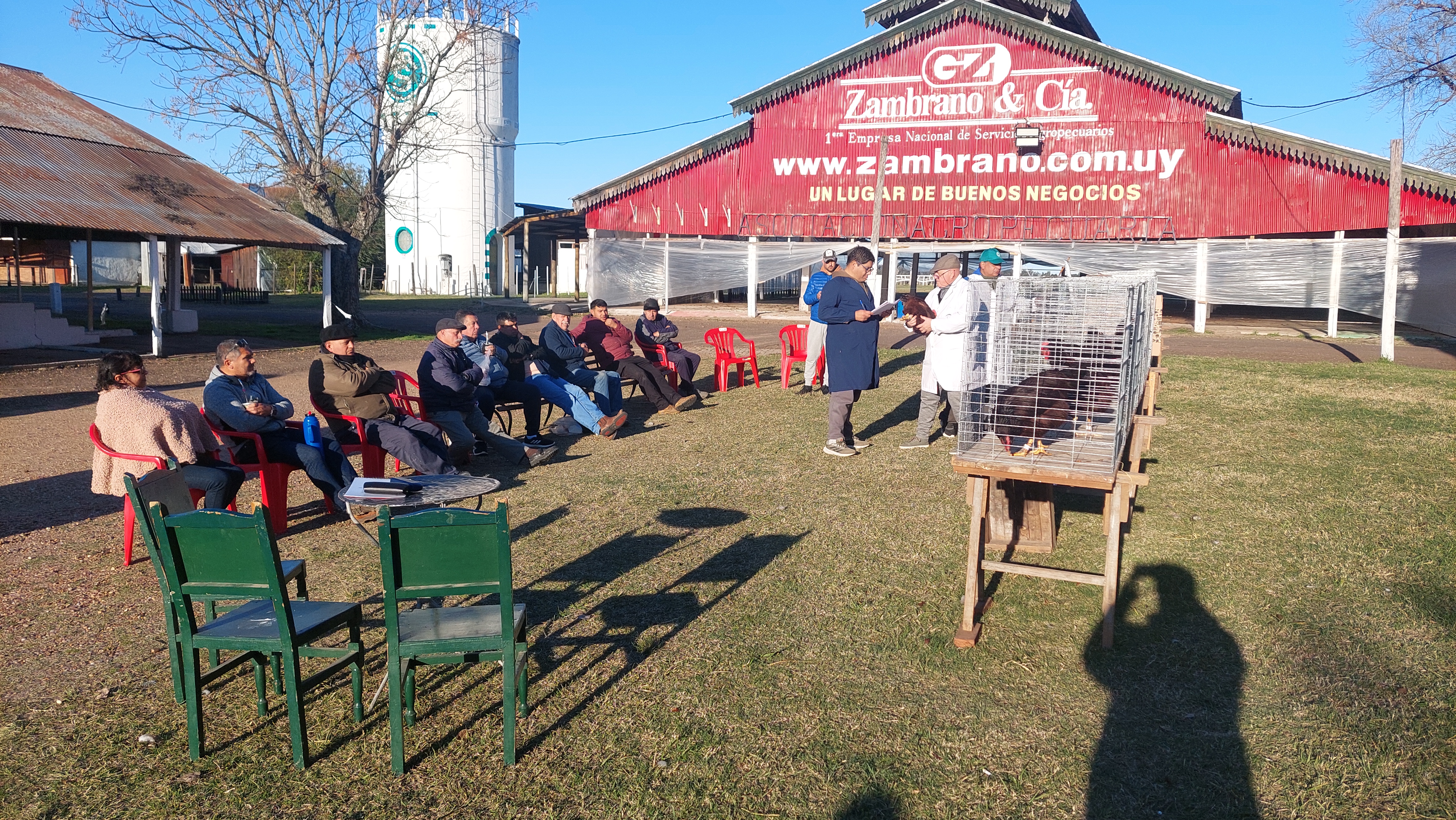 Más de 600 aves participan en 82a Exposición Nacional de Avicultura de Salto