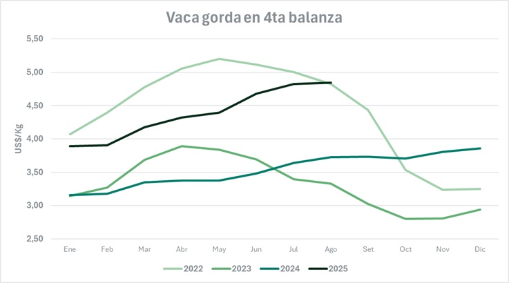 Vaca gorda cotiza 8,9% por debajo de 2022