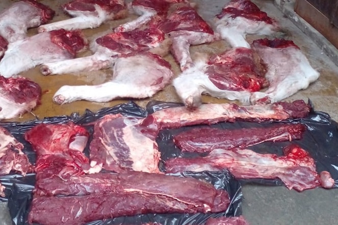 Tres detenidos tras incautarles  carne de 4 ñandúes y una mulita