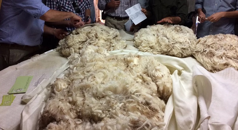 Se confirman negocios en corriedale y en merino el mercado sigue estable