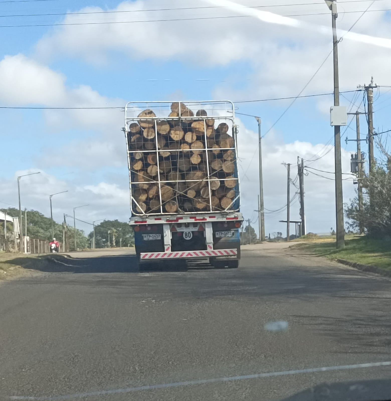 Latidos